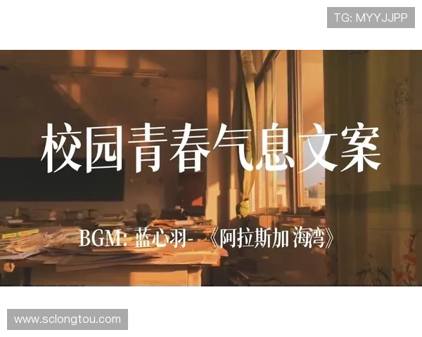 我的美好时代：岁月如歌，追寻青春与梦想的故事